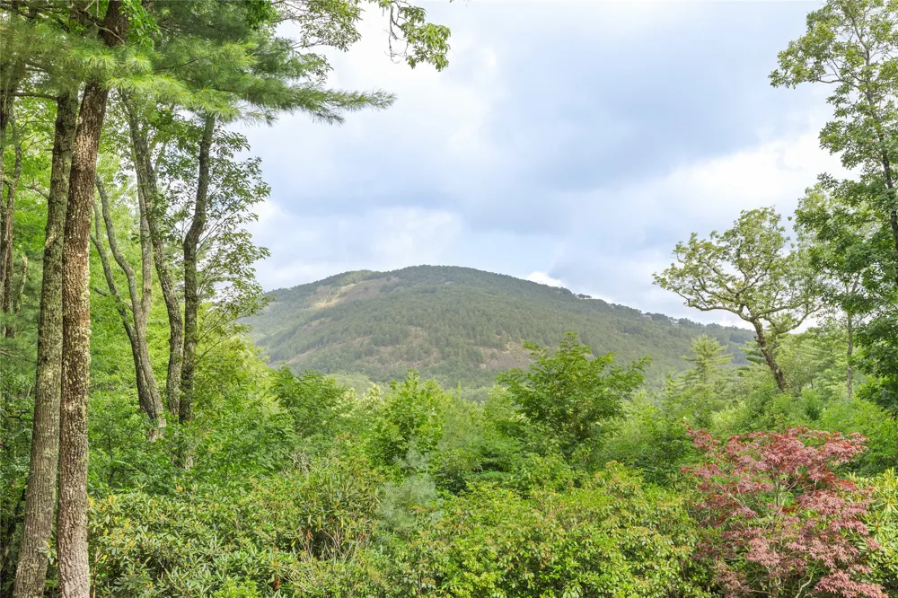 895 W Rochester Drive Cashiers, NC 28717