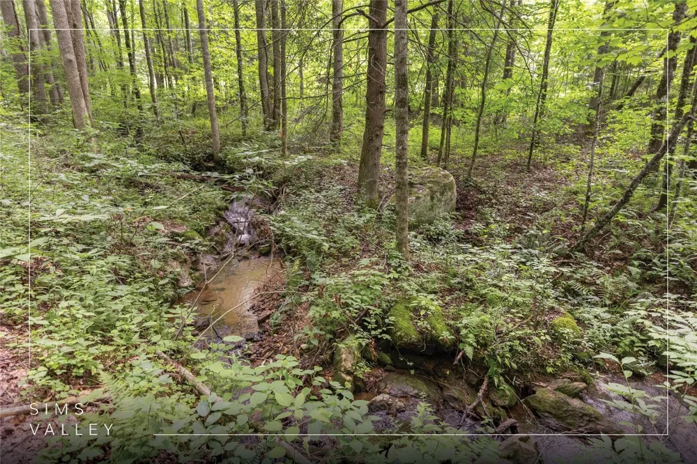 21R Pilot Knob Road Glenville, NC 28736