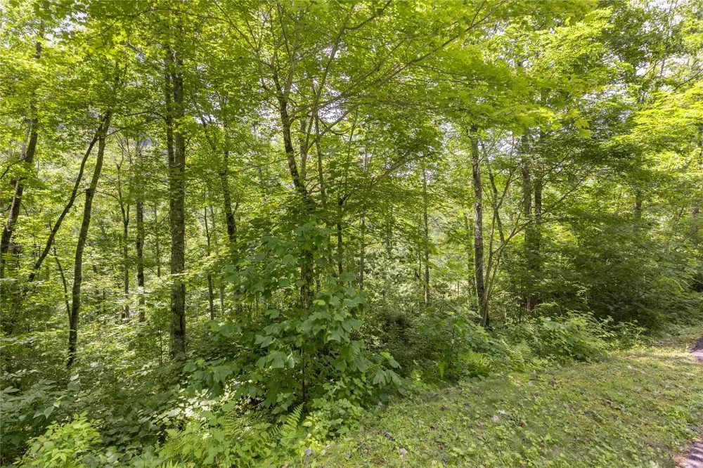 21R Pilot Knob Road Glenville, NC 28736
