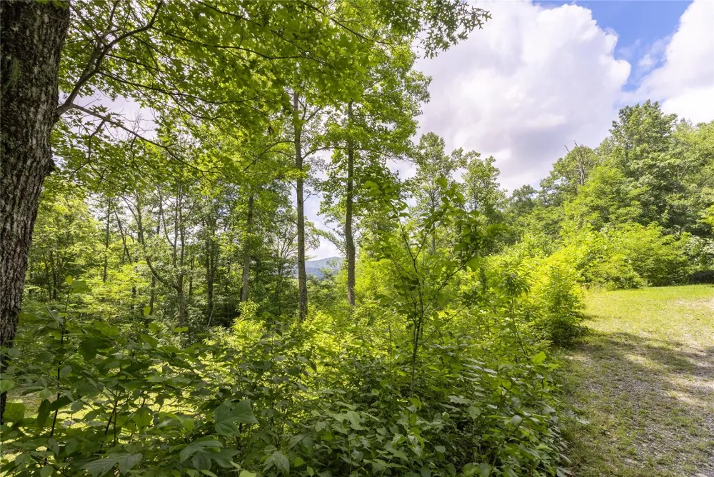 21R Pilot Knob Road Glenville, NC 28736