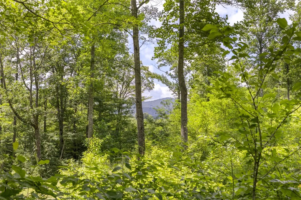 21R Pilot Knob Road Glenville, NC 28736
