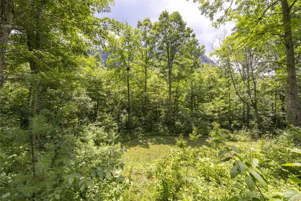 21R Pilot Knob Road Glenville, NC 28736