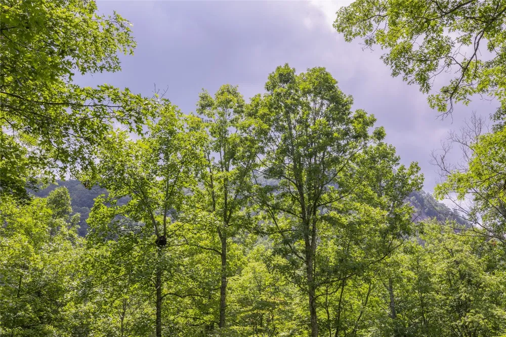 21R Pilot Knob Road Glenville, NC 28736