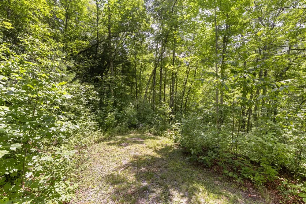 21R Pilot Knob Road Glenville, NC 28736