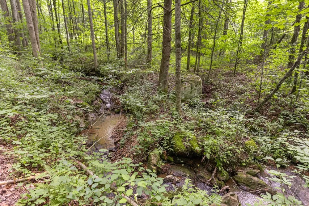 21R Pilot Knob Road Glenville, NC 28736