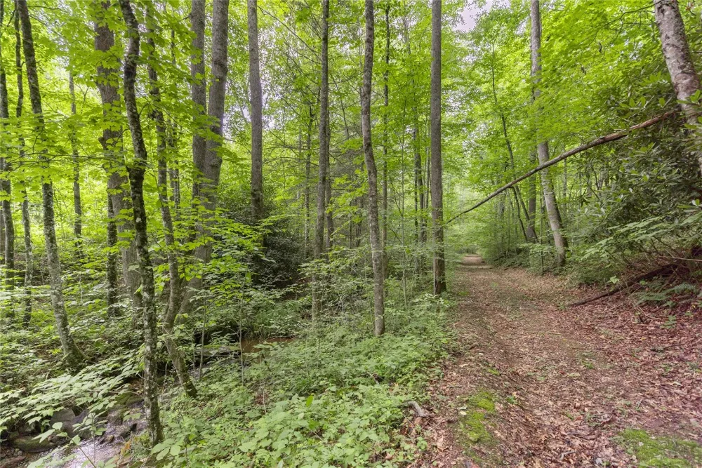 21R Pilot Knob Road Glenville, NC 28736