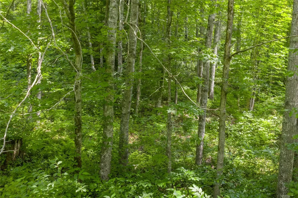 21R Pilot Knob Road Glenville, NC 28736