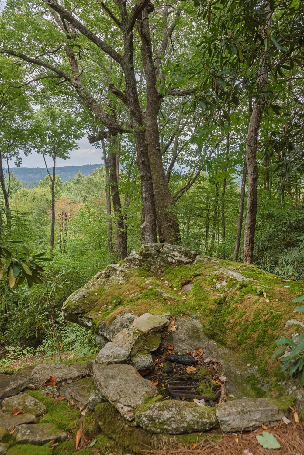 132 Bent Tree Lane Cashiers, NC 28717