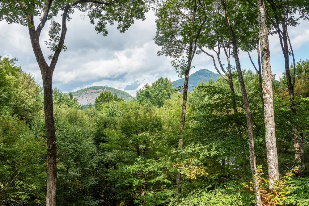 132 Bent Tree Lane Cashiers, NC 28717