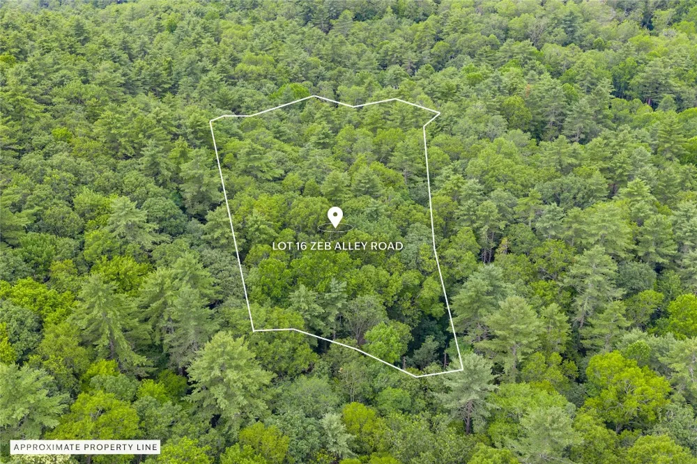 Lot 16 Zeb Alley Road Cashiers, NC 28717