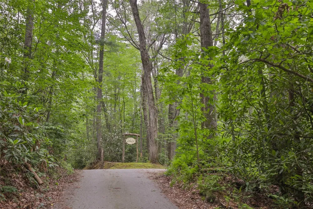 Lot 16 Zeb Alley Road Cashiers, NC 28717