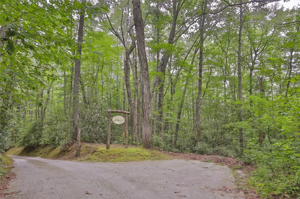 Lot 16 Zeb Alley Road Cashiers, NC 28717