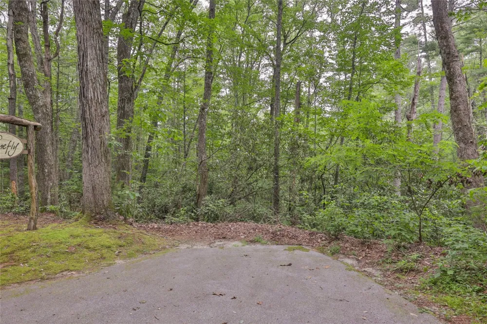 Lot 16 Zeb Alley Road Cashiers, NC 28717
