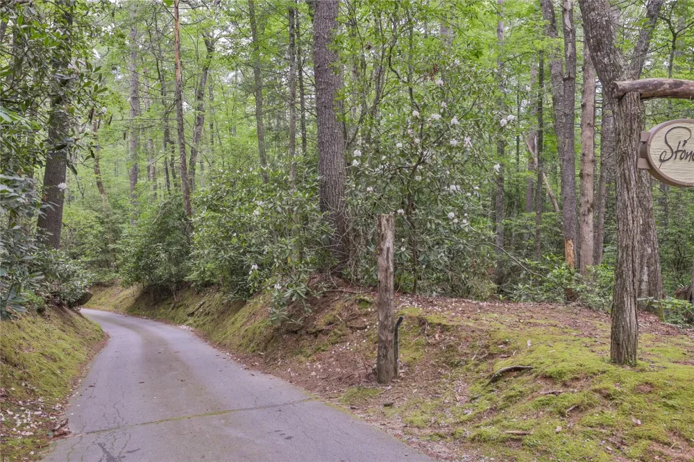 Lot 16 Zeb Alley Road Cashiers, NC 28717