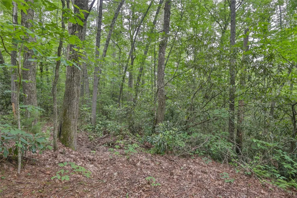 Lot 16 Zeb Alley Road Cashiers, NC 28717
