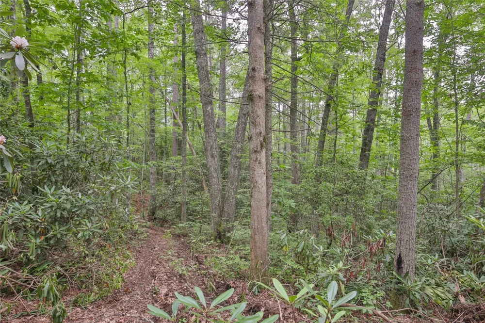 Lot 16 Zeb Alley Road Cashiers, NC 28717