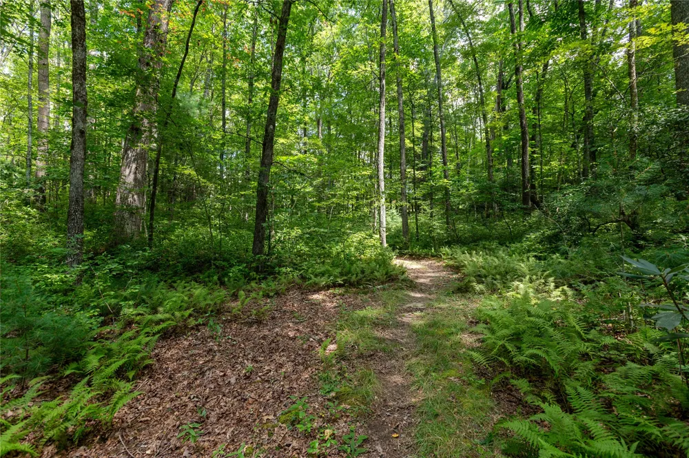 Lot 13 Streamside Drive Cashiers, NC 28717