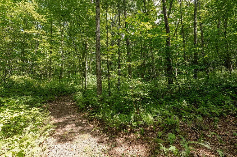 Lot 13 Streamside Drive Cashiers, NC 28717