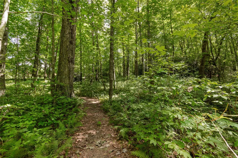 Lot 13 Streamside Drive Cashiers, NC 28717