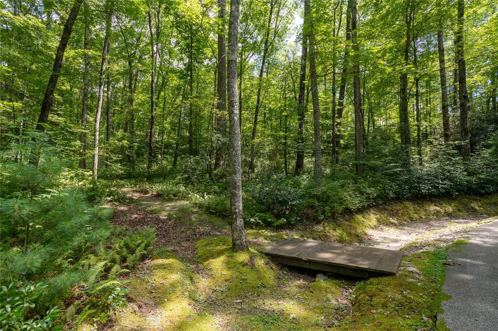 Lot 13 Streamside Drive Cashiers, NC 28717