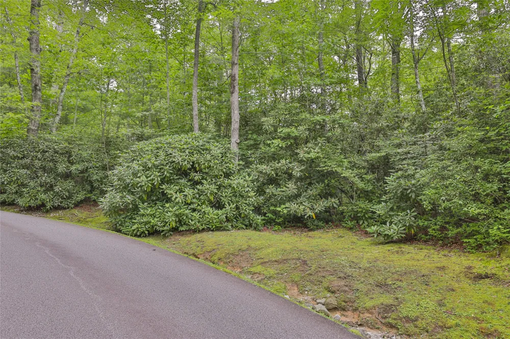 Lot 10B Streamside Drive Cashiers, NC 28717