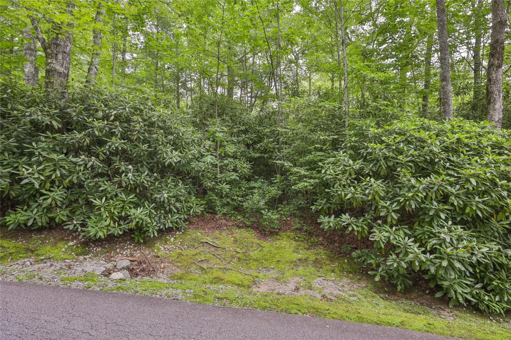 Lot 10B Streamside Drive Cashiers, NC 28717