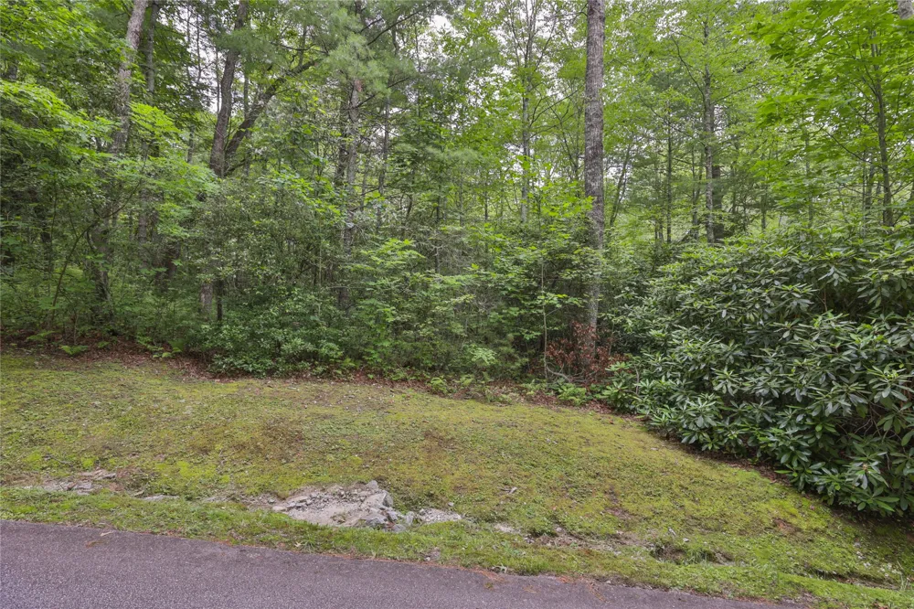 Lot 10B Streamside Drive Cashiers, NC 28717