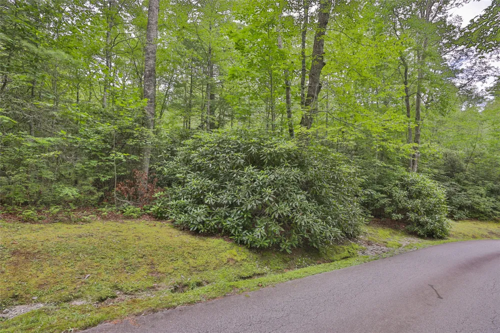 Lot 10B Streamside Drive Cashiers, NC 28717
