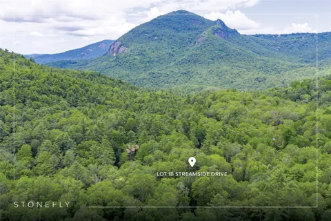 Lot 1B Streamside Drive