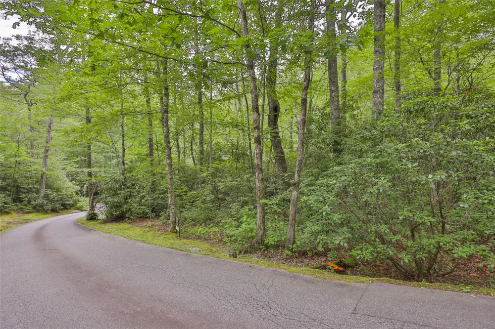 Lot 1B Streamside Drive Cashiers, NC 28717