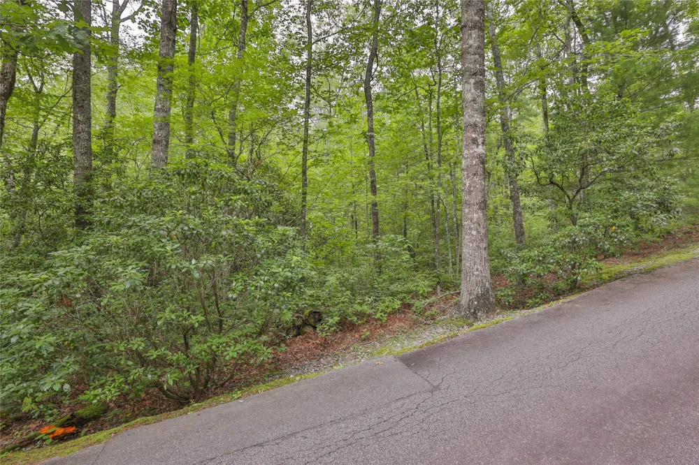 Lot 1B Streamside Drive Cashiers, NC 28717