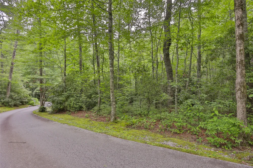 Lot 1B Streamside Drive Cashiers, NC 28717