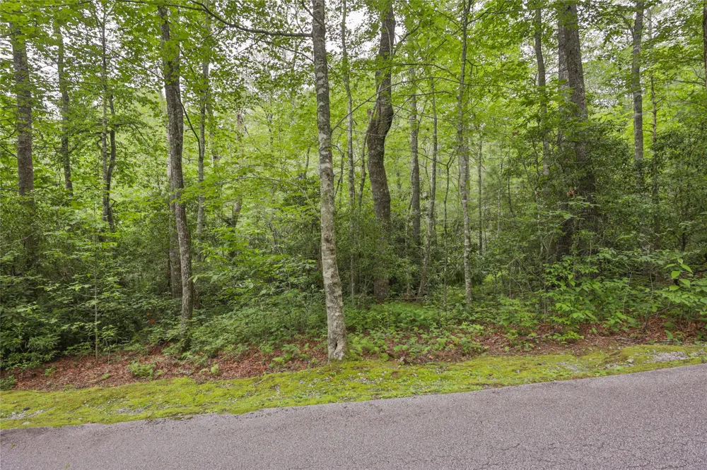 Lot 1B Streamside Drive Cashiers, NC 28717