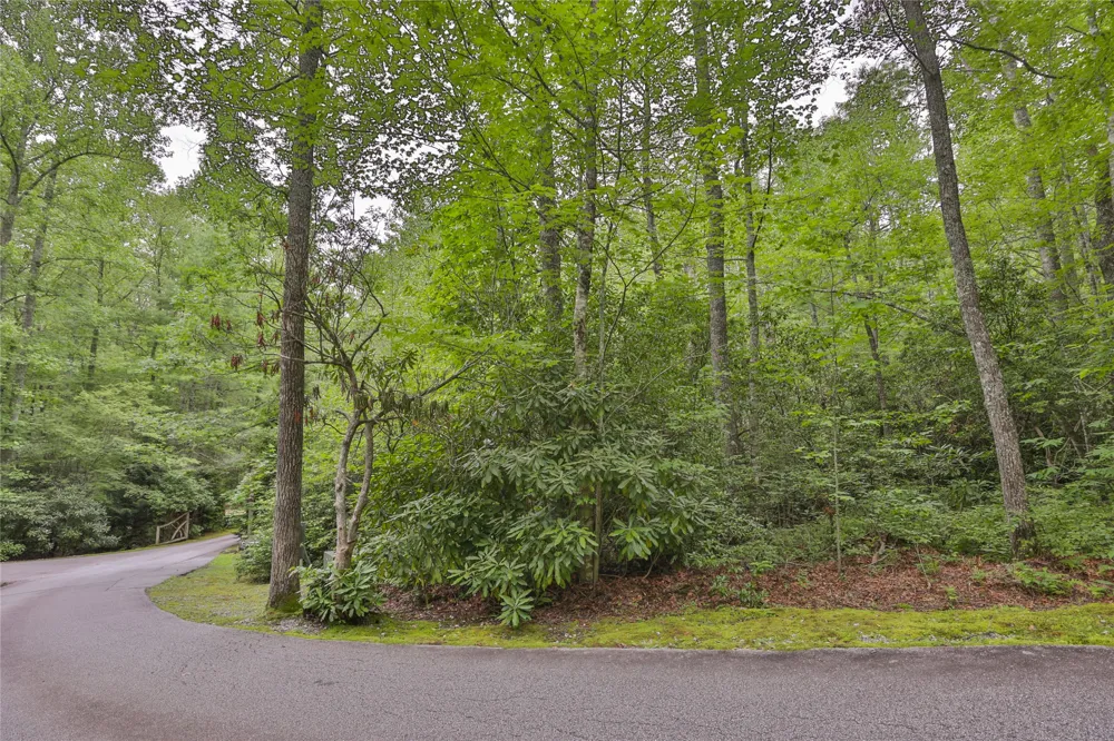 Lot 1B Streamside Drive Cashiers, NC 28717
