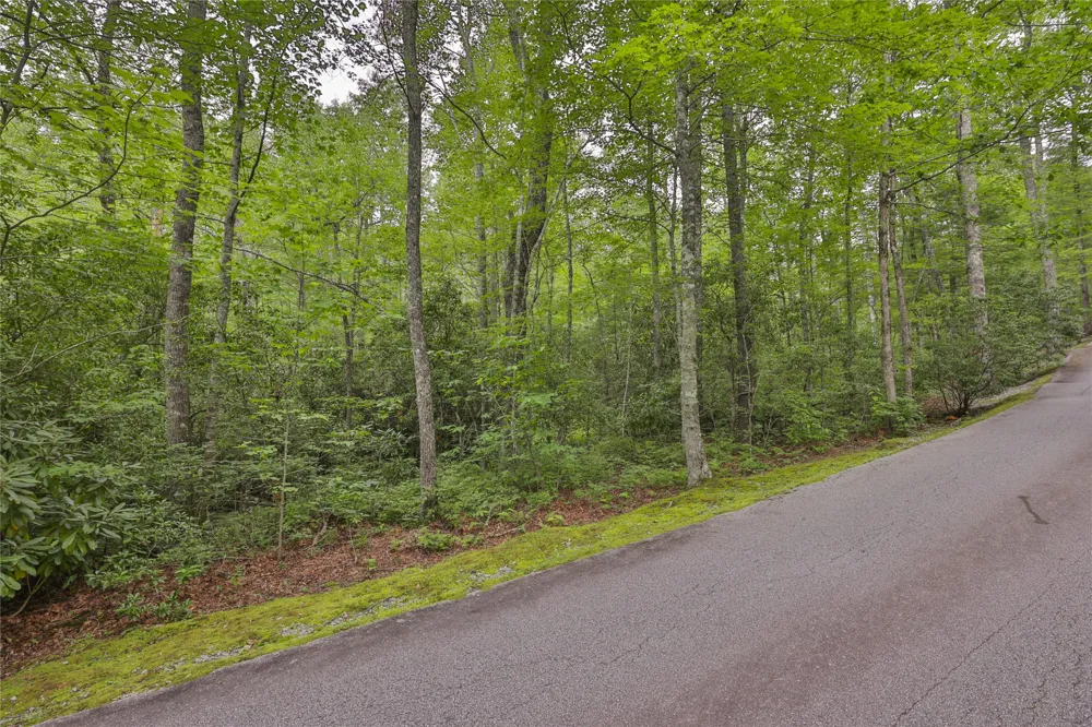 Lot 1B Streamside Drive Cashiers, NC 28717