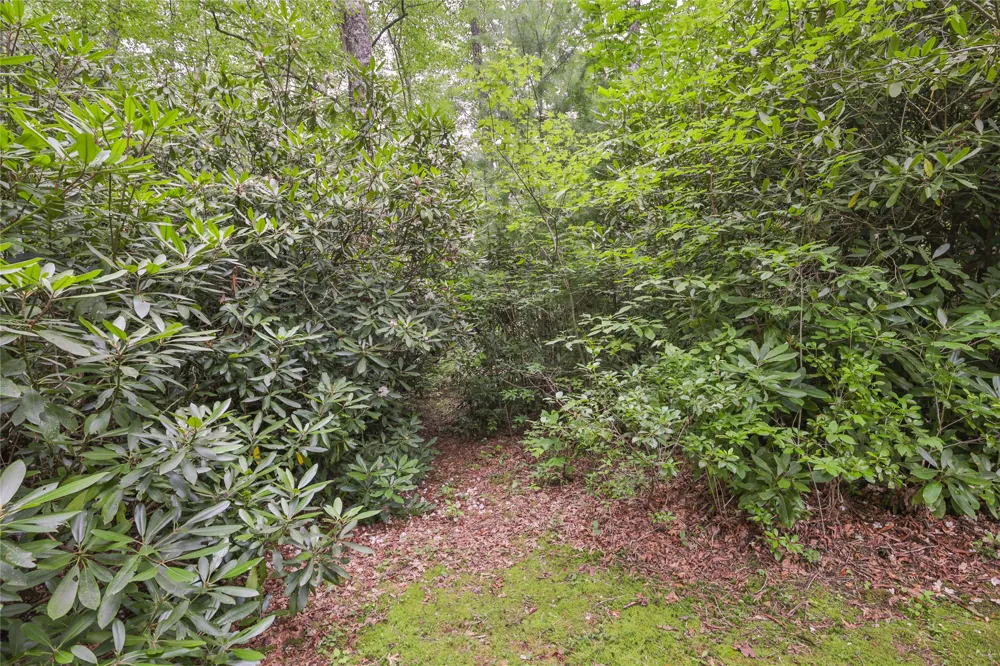 Lot 1B Streamside Drive Cashiers, NC 28717