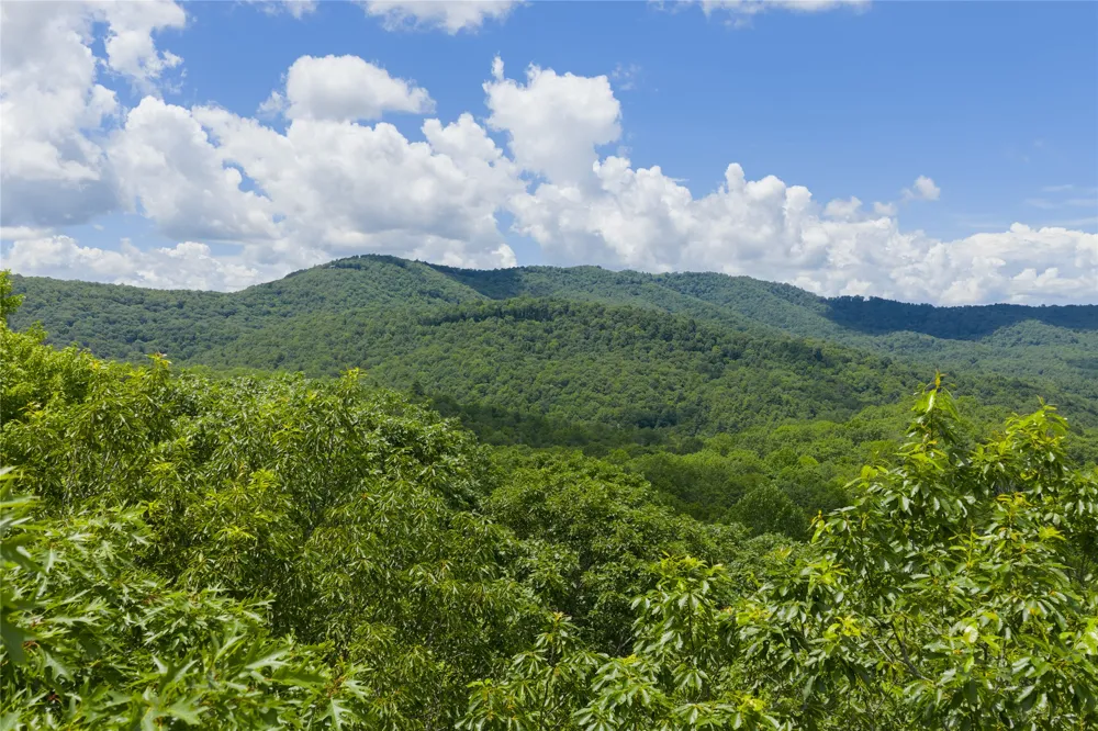 Lot E4 New Settler's Way Glenville, NC 28736