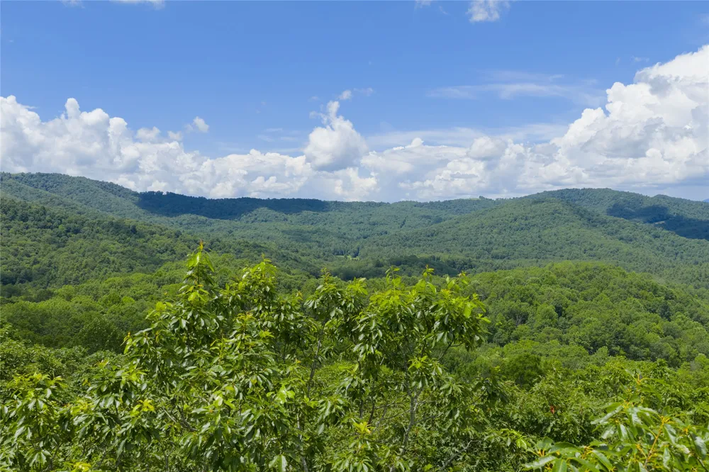 Lot E4 New Settler's Way Glenville, NC 28736