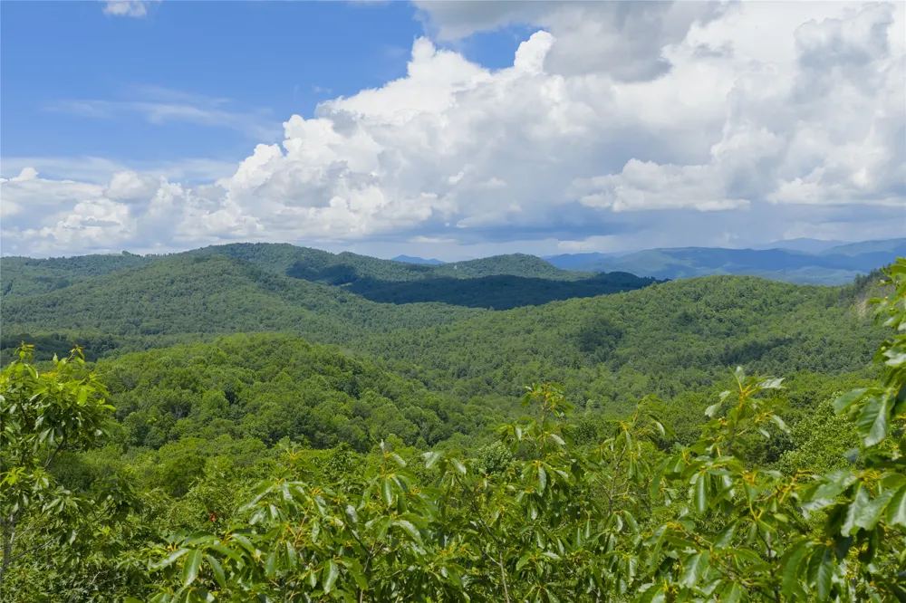 Lot E4 New Settler's Way Glenville, NC 28736