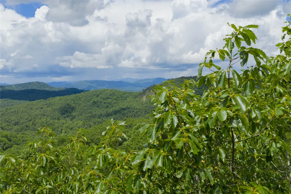 Lot E4 New Settler's Way Glenville, NC 28736