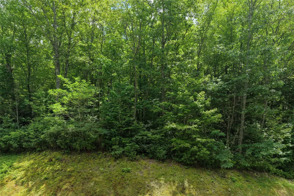 Lot E4 New Settler's Way Glenville, NC 28736
