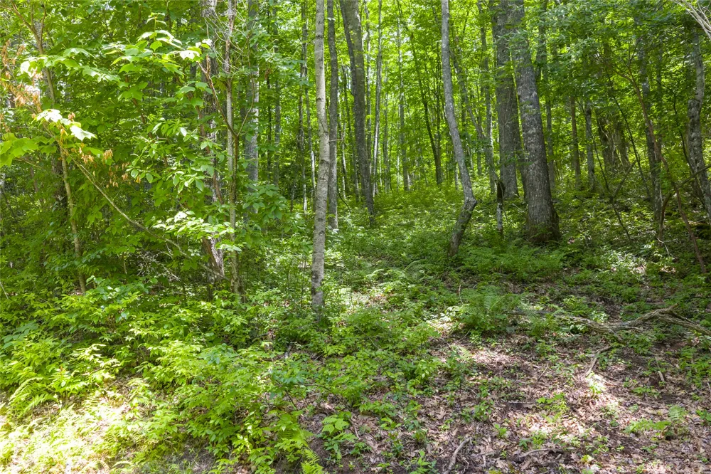 Lot E4 New Settler's Way Glenville, NC 28736