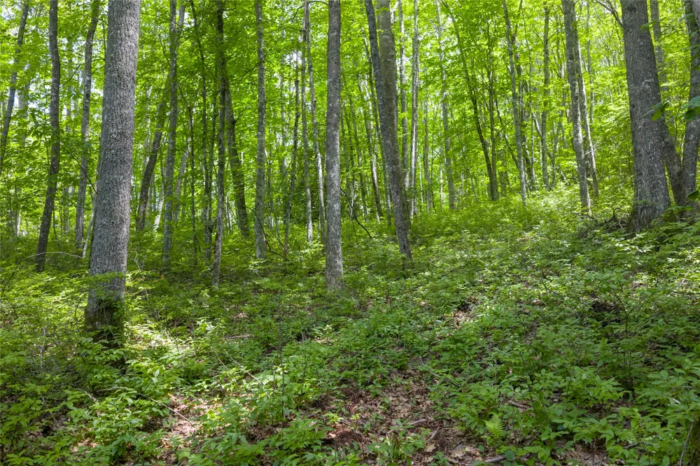 Lot E4 New Settler's Way Glenville, NC 28736