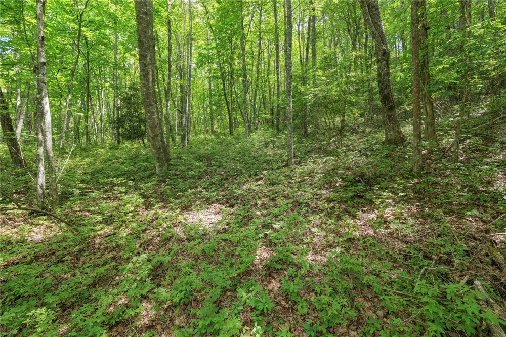 Lot E4 New Settler's Way Glenville, NC 28736
