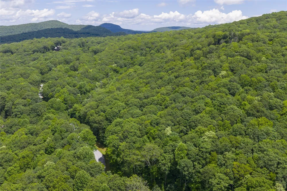 Lot E4 New Settler's Way Glenville, NC 28736