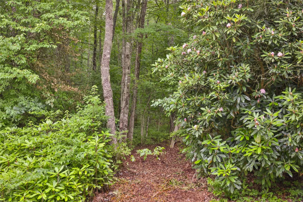 Lot E8 New Settlers Way Glenville, NC 28736