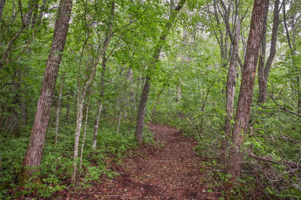 Lot E8 New Settlers Way Glenville, NC 28736