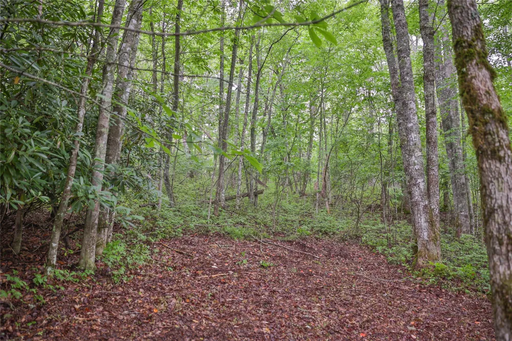 Lot E8 New Settlers Way Glenville, NC 28736