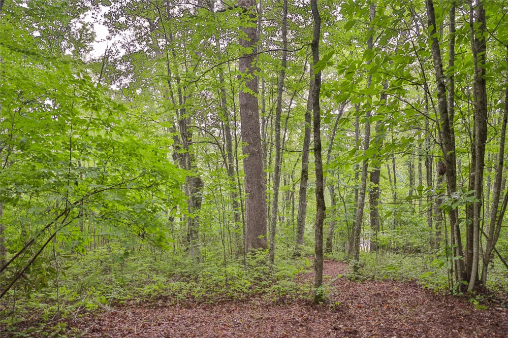 Lot E8 New Settlers Way Glenville, NC 28736