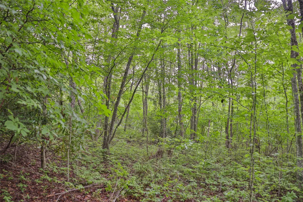 Lot E8 New Settlers Way Glenville, NC 28736
